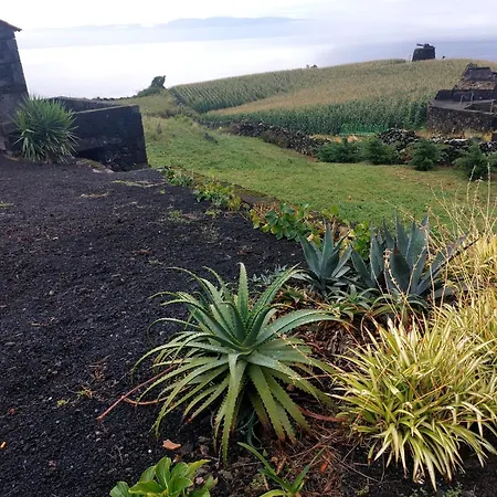 Casa de Férias Quinta Da Atafona *