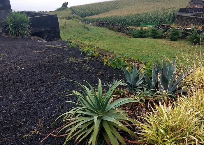 Holiday home Quinta Da Atafona *